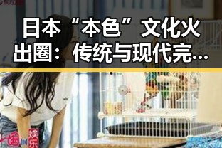 日本“本色”文化火出圈：传统与现代完美融合引热议 🇯🇵✨