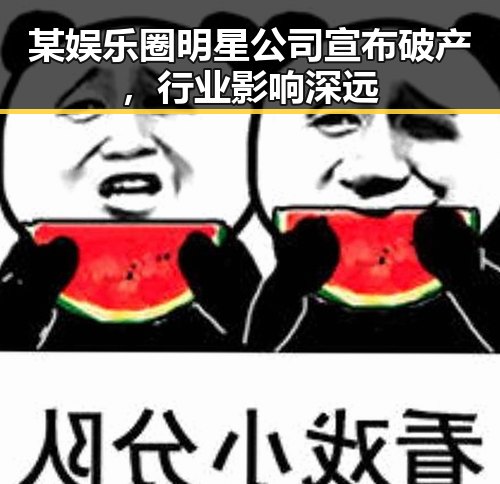 某娱乐圈明星公司宣布破产，行业影响深远
