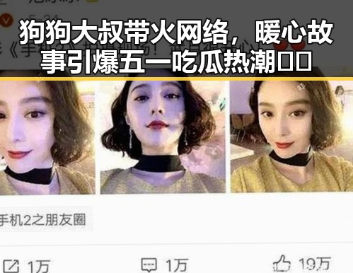 狗狗大叔带火网络，暖心故事引爆五一吃瓜热潮🐶✨