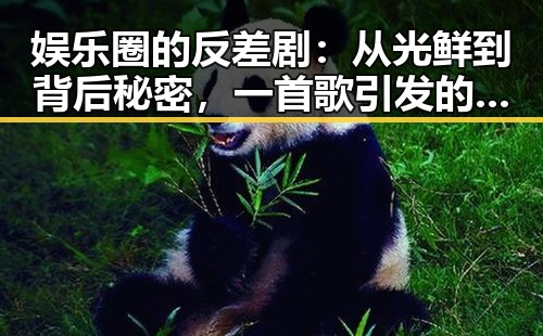 娱乐圈的反差剧：从光鲜到背后秘密，一首歌引发的全民吃瓜热潮🎤