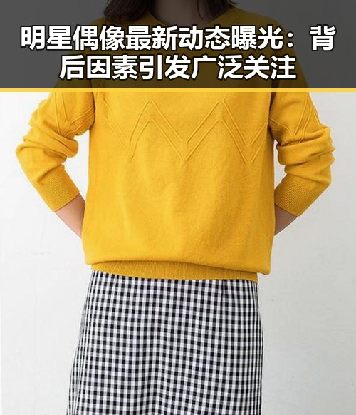 明星偶像最新动态曝光：背后因素引发广泛关注